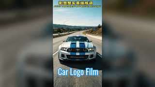 Película PET para logotipo de coche.